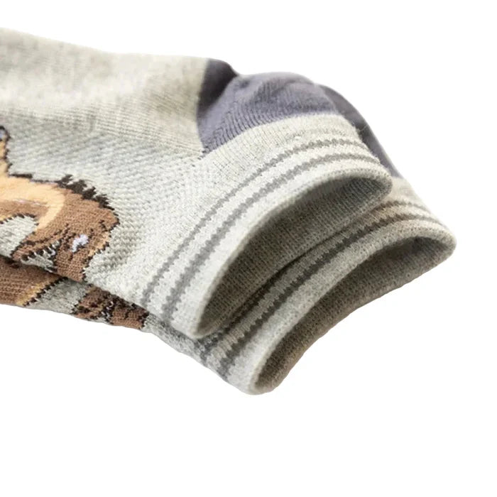 Set of 5 pairs of boys' dinosaur socks by Habicare, soft, breathable, available in 4 sizes, featuring colorful dinosaur patterns.