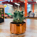 Kopper Kreation - Copper Cactus Planter - Large