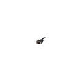 Amtronics RG-59 Coaxial cable 50ft black Video Cables