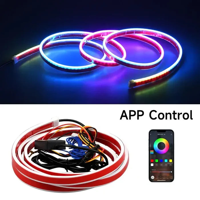 APP / 2.4m