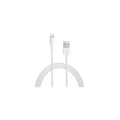 Apple Lightning to USB Cable (1 m)