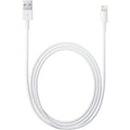 Apple Lightning to USB Cable (1 m)