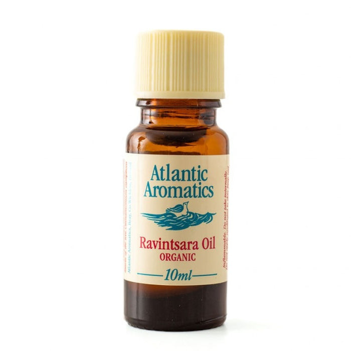 A 10ml amber glass bottle of Atlantic Aromatics Ravintsara Oil Organic, featuring a cream-colored label with blue and red text and a ribbed beige cap, set against a plain white background.