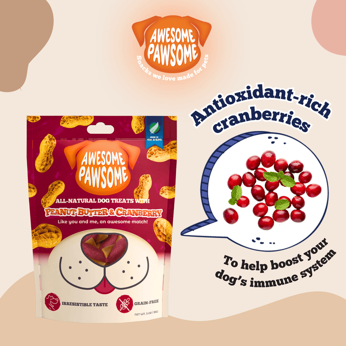 Kooky Kibble NZ Awesome Pawsome grain-free dog treats in colorful packaging with a happy dog chewing a treat