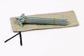 Set of durable steel tent stakes with carrying case, ideal for camping and outdoor adventures.