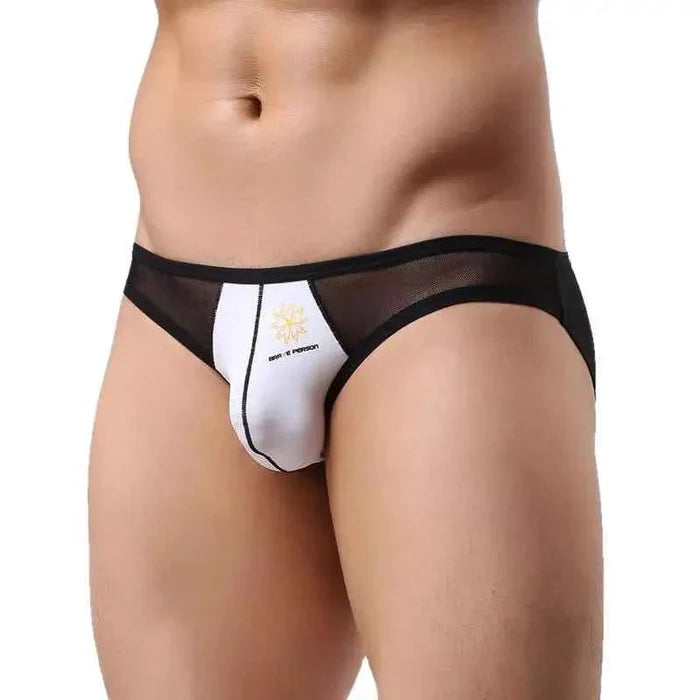 Men's mesh briefs by ShopHub NZ, transparent and sexy underwear in four colors, showcasing lightweight, breathable design.