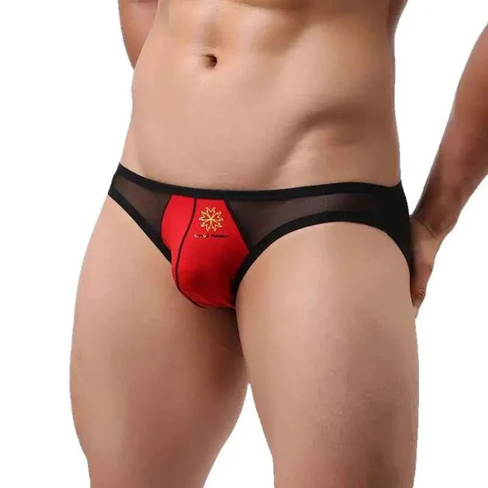 Mesh men's briefs by ShopHub NZ featuring transparent fabric in four colors, designed for a bold, sexy look.