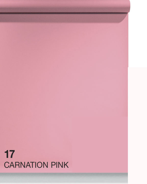 CARNATION PINK(17)