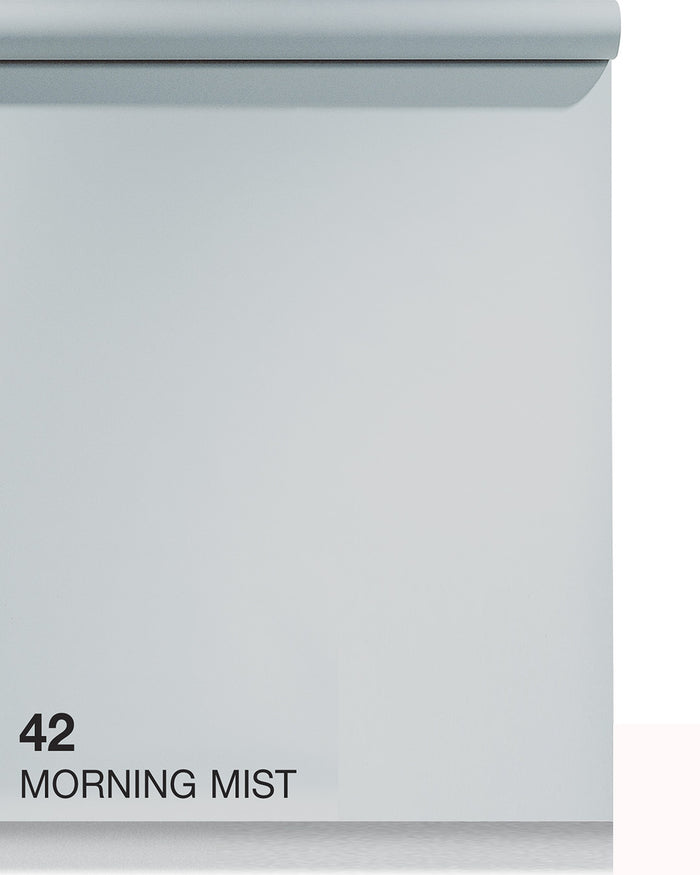 MORNING MIST(42)