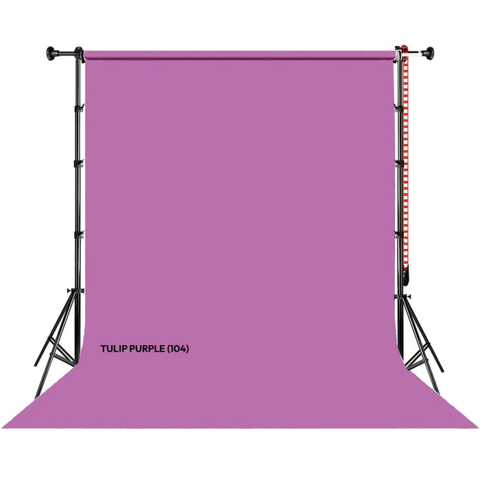 TULIP PURPLE (104)