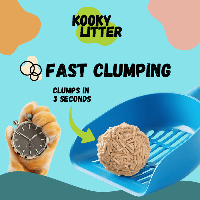 Kooky Kibble NZ flushable cat litter made from tofu, showing a bag of Kooky Litter with eco-friendly packaging and a cat in the background.