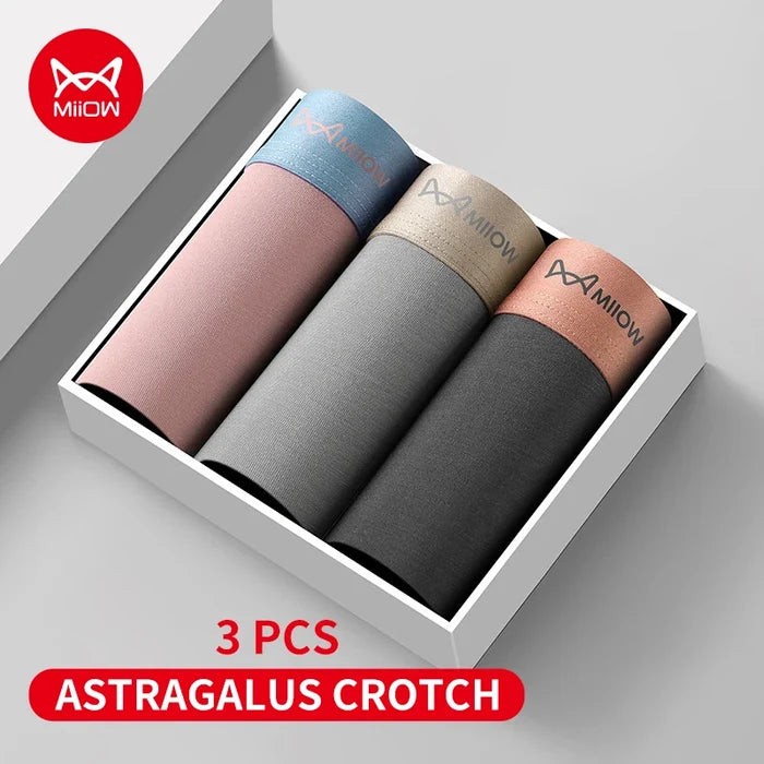 L / M8619-3C / 3pcs