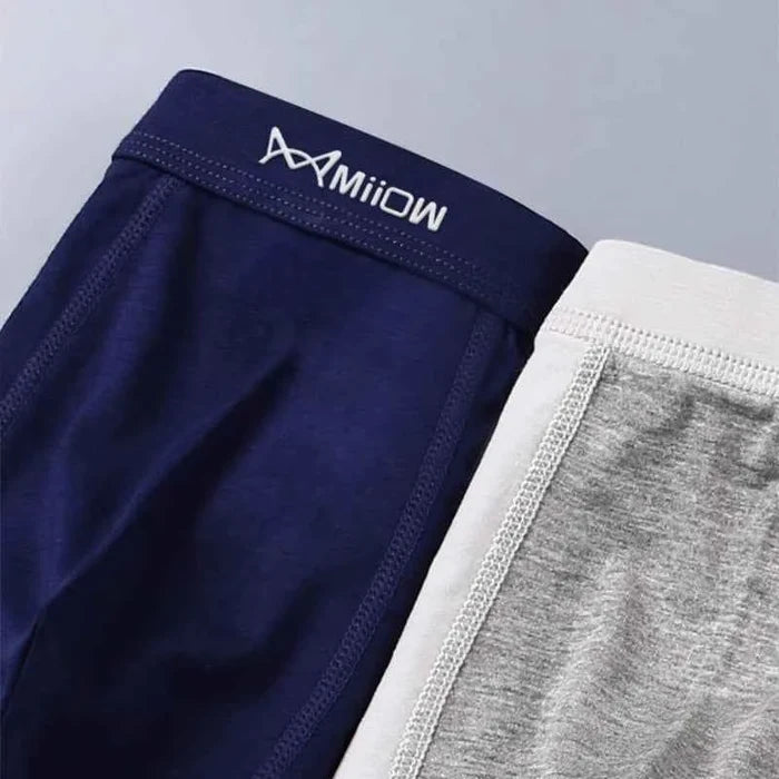 Three pairs of men's cotton boxer briefs from MiiOW, featuring comfortable fit and classic design in neutral colors.