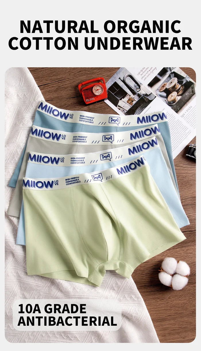 Set of three MiiOW cotton men's boxer shorts, antibacterial, soft, breathable, silky feel, comfortable men's underwear by ShopHub NZ