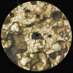 Mython-Microseism
