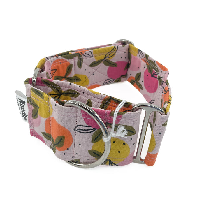 Noodle Necks Dog Collar martingale - medium