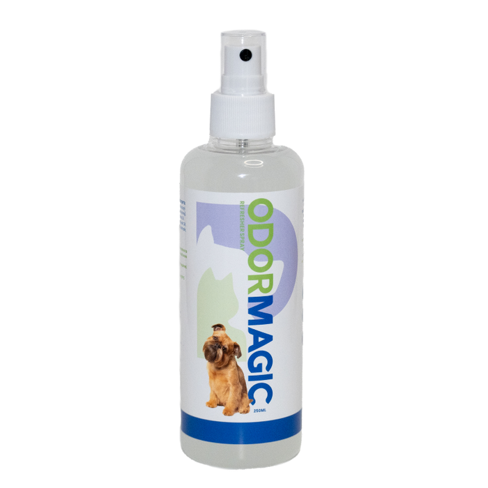 Pet cream OdorMagic from The Honey Collection, featuring a medium-sized tube with the product label visible and a clean, professional design.