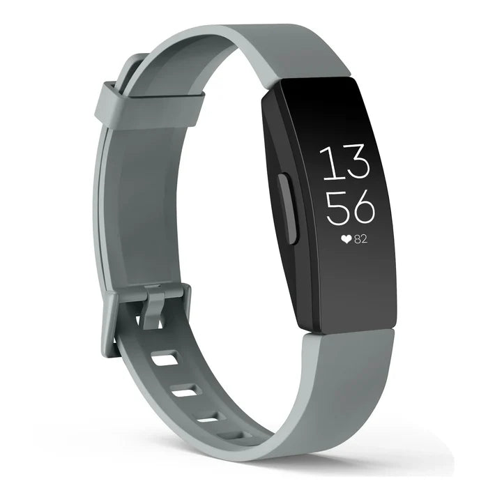 Gray / Large / Fitbit ACE 2