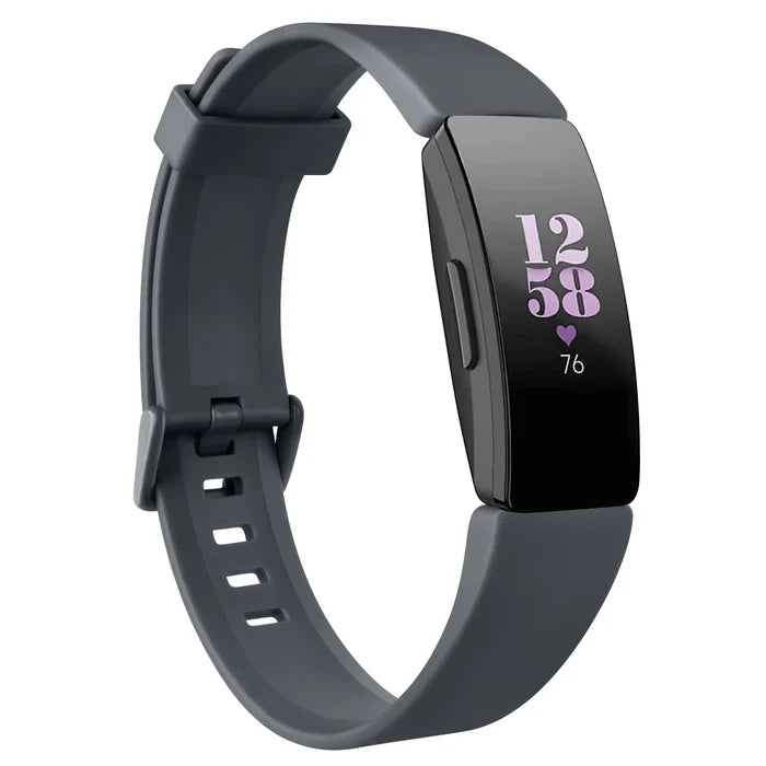 Deep Gray / Large / Fitbit ACE 2