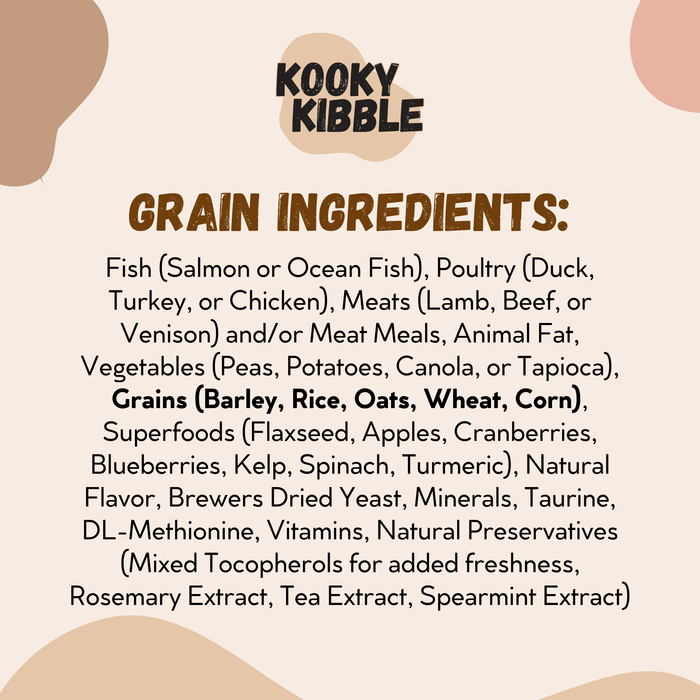 Kooky Kibble NZ Smart Hooman Trial Bundle cat food starter kit with 200g dry cat food for all life stages, in a clear box.