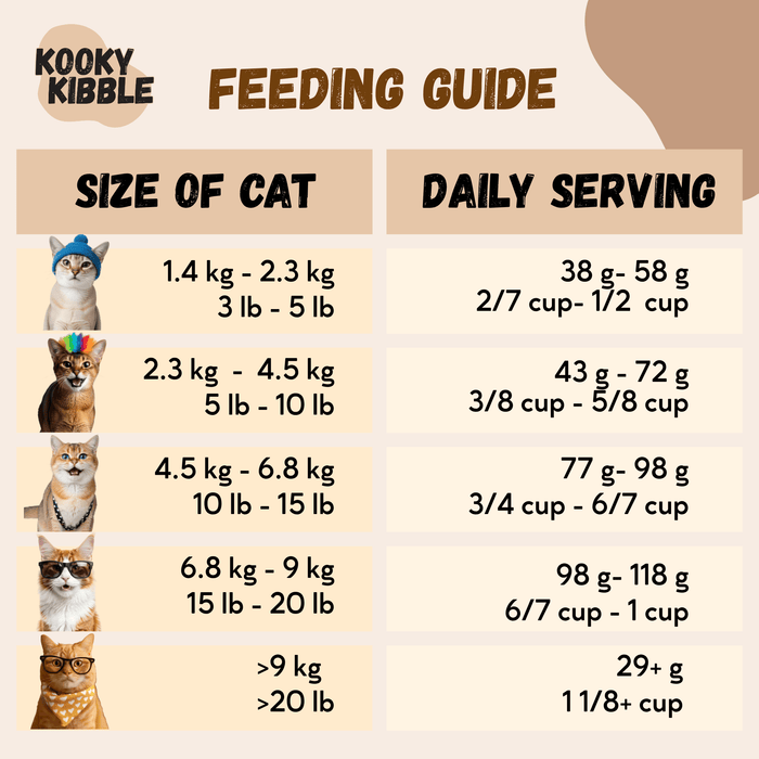 Kooky Kibble NZ Smart Hooman Cat Food Trial Bundle starter kit with 200g dry cat food for all life stages.