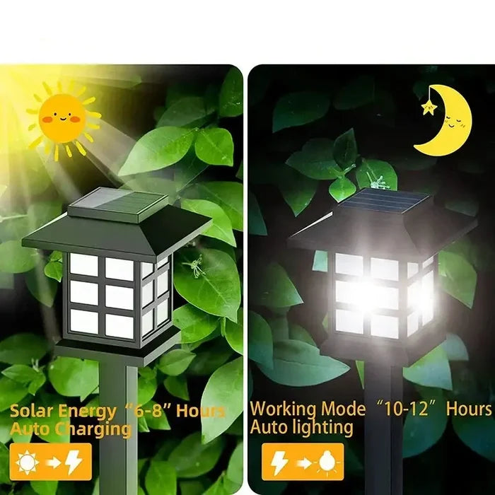 Set of Habicare Solar LED Pathway Lights in SS finish, available in 2, 4, 6, or 8 pieces, for outdoor garden illumination.