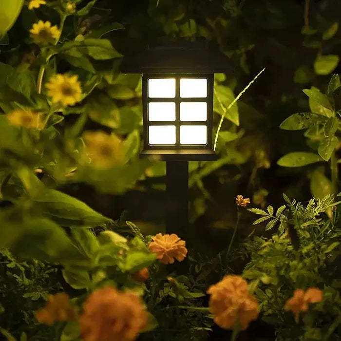 Set of Habicare solar LED pathway lights with stainless steel finish, available in 2, 4, 6, or 8 pack for outdoor garden lighting.