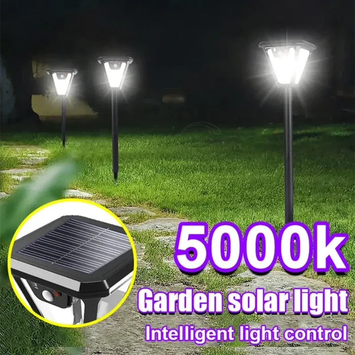 Habicare SS solar pathway lights with motion sensor illuminating a garden path at night.