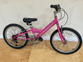 Specialized Hot Rocks c.2002  20”