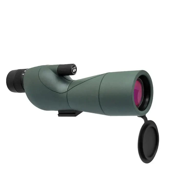 Only Monocular 1