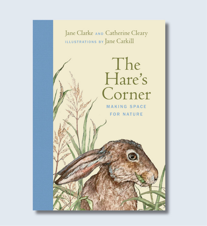 The Hare’s Corner