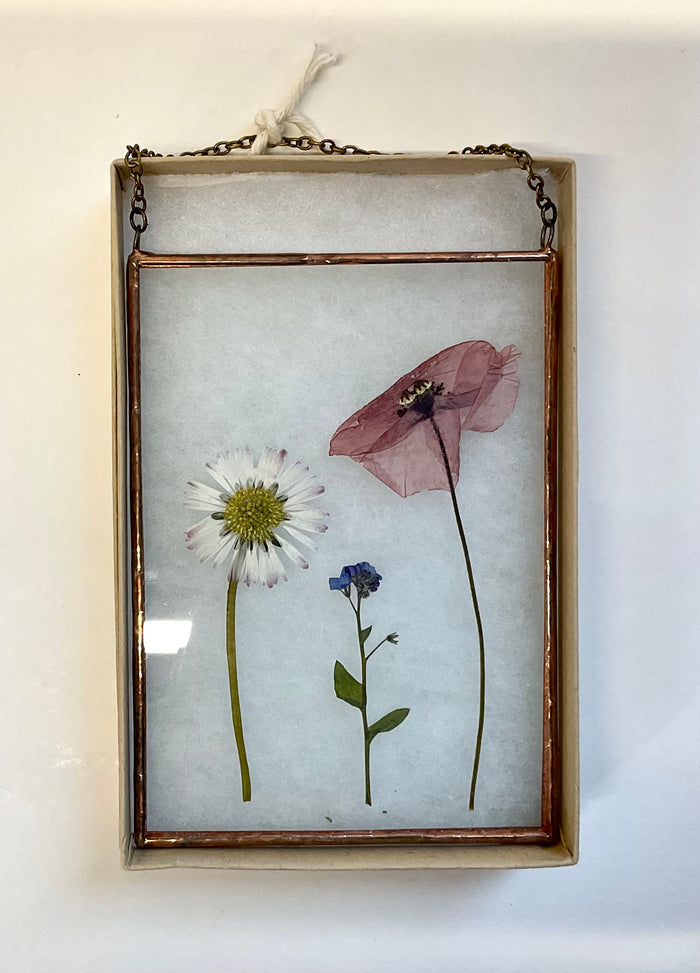 Pressed flowers in a glass frame on a white wall