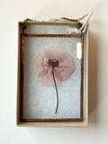 Framed pressed flower in a glass frame on a white background