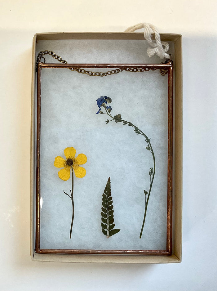 Pressed flowers and leaves in a glass frame on a light background