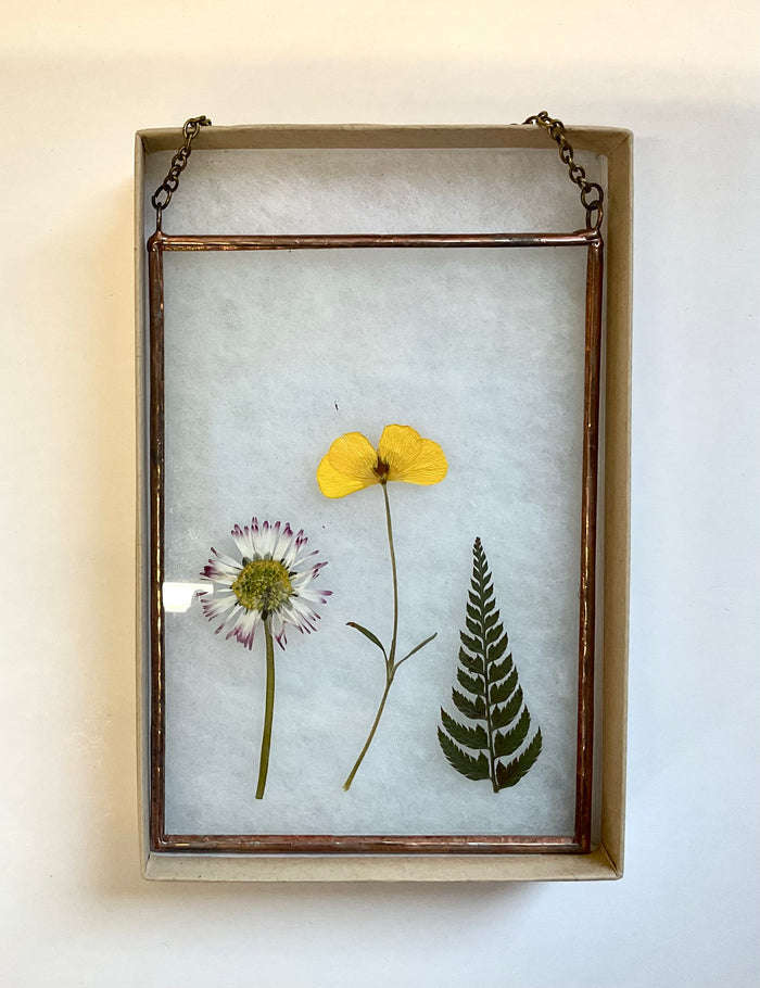 Pressed flowers and fern in a glass frame on a white background